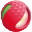 荔枝网 icon